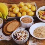 10 Best Plant-Based Recipes